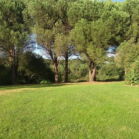 La Belle Landaise 1809 Arridoulet 1 *