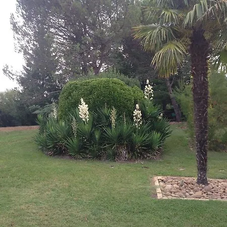 La Belle Landaise 1809 Arridoulet 1 Holiday home Peyrehorade